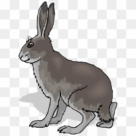 Hare Clipart Grassland Animal - Coney Definition, HD Png Download - hare png