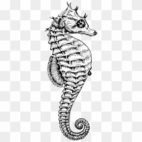 Black And White Seahorse, HD Png Download - sea horse png