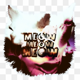 Meow Meow Meow, HD Png Download - meow png