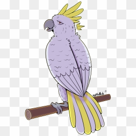 The Quillian Chronicles Wiki - Buzzard, HD Png Download - cockatoo png