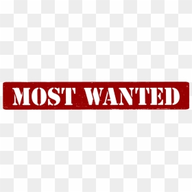 Wanted Transparent - Most - Condemned 84, HD Png Download - most wanted png