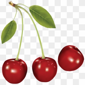 Cherry Clipart Png Picture - Cherry Png, Transparent Png - cherry clipart png