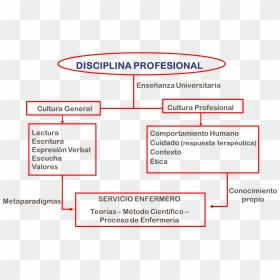 Pe - Diagrama De Proceso Enfermero, HD Png Download - proceso png