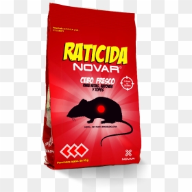 Raticida Png, Transparent Png - rats png