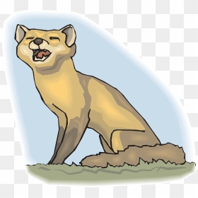 Howling Fox Clipart, HD Png Download - baby fox png