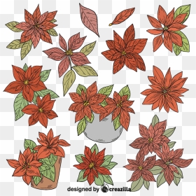 Set Of Poinsettia Vector - Floral Design, HD Png Download - dandelion vector png