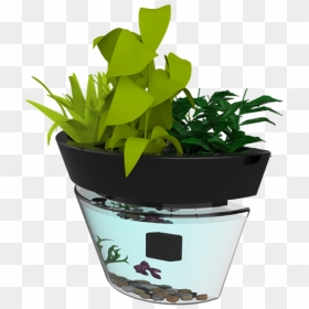Flowerpot, HD Png Download - office plant png