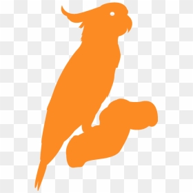 Parrot, HD Png Download - cockatoo png