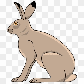 Hare Clipart - Domestic Rabbit, HD Png Download - hare png