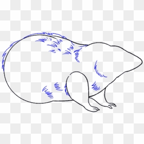 How To Draw Rat - Rat Drawing Png, Transparent Png - rats png