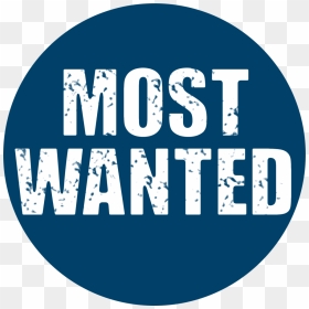 Most-wanted - Wanted Logo Transparent, HD Png Download - most wanted png