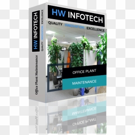 "office Plant Maintenance Website Clone - Banner, HD Png Download - office plant png