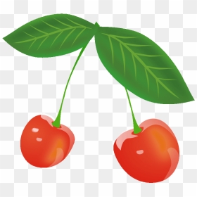 Cherry Clipart Download - Cherry, HD Png Download - cherry clipart png