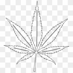 Marijuana Leaf Vector Png, Transparent Png - marijuana leaf vector png