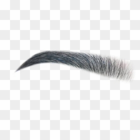 #eyebrow #eyebrows #eyebrowsticker #makeup #beauty - Eyelash Extensions, HD Png Download - beauty icon png