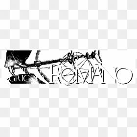 Azienda Agricola Romano Logo Black And White - Drawing, HD Png Download - barbed wire vector png
