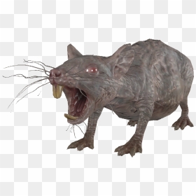 Dlc04 Encradrat01template Smallnormal - Cat Yawns, HD Png Download - rats png