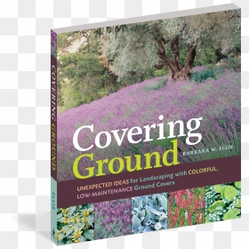 Unexpected Ideas For Landscaping With , Png Download - Covering Ground, Transparent Png - ground cover png