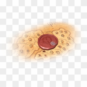 Phidelity, HD Png Download - lipstick print png