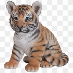 Clip Freeuse Stock Vivid Sitting Cub Resin Garden Ornament - Baby Tiger Png, Transparent Png - baby tiger png