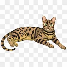 Brown-spotted Tabby Bengal Cat Clipart - Yellow Cat With Black Stripes, HD Png Download - tabby cat png
