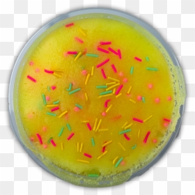 Circle, HD Png Download - piña colada png