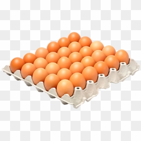 Egg, HD Png Download - vhv