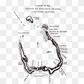 Chart Of Cocos Keeling Islands - Cocos Island Black And White, HD Png Download - hare png