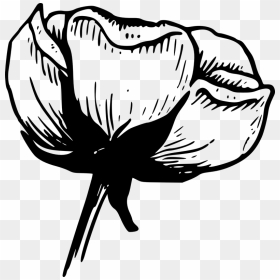 Flowers Clip Art Black And White Free - Black And White Photo Simple, HD Png Download - flower border black and white png
