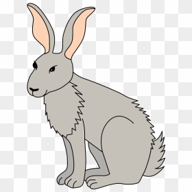 Hare Clipart - Animado Dibujo De Una Liebre, HD Png Download - hare png