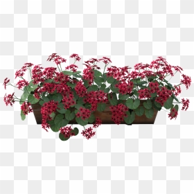 Flower Window Box Png, Transparent Png - window box png