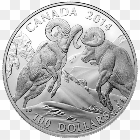 Canadian 100 Dollar Coin, HD Png Download - 100 dollar png