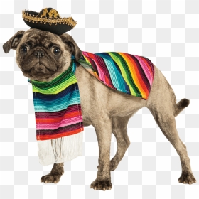 Mexican Costume For Dogs, HD Png Download - mexican poncho png