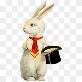 Rabbit Hat Png Background Image - Happy Easter White Rabbit, Transparent Png - hare png