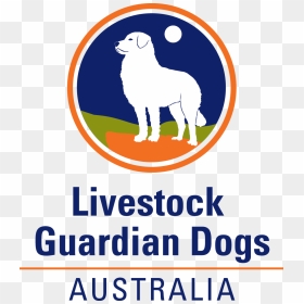 Livestock Guardian Dogs Australia - Ibm Guardium, HD Png Download - dark background png