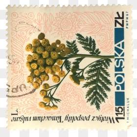 #letter #stamp #mail #post #sticker #vintage - Postage Stamp, HD Png Download - vintage stamp png