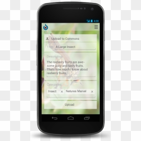 Commons App Upload Screen - Mobile Device, HD Png Download - phone screen png