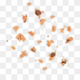 Insect, HD Png Download - cookie crumbs png