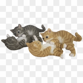 Cats Playing Ass - Tabby Cat, HD Png Download - tabby cat png