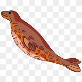 Seal Swimming Cliparts - Seal Cartoon Swimming Png, Transparent Png - swimming clipart png