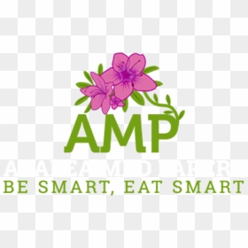 Eat Fit Live Long - Dianthus, HD Png Download - dark background png