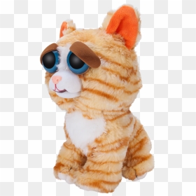 Window Box Feisty Pets Orange Cat Plush - Feisty Pets Transparent, HD Png Download - window box png