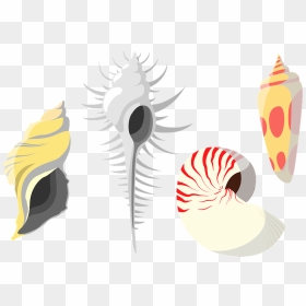 Shellfish Shell Clipart - Illustration, HD Png Download - shell clipart png