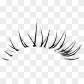 Transparent Unicorn Eyelashes Clipart - Eyelashes Png For Photoshop, Png Download - lash png