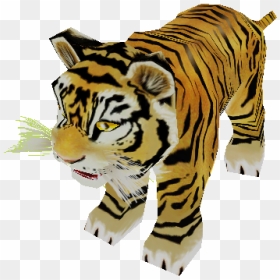 Zoo Tycoon 2 Baby Tiger, HD Png Download - baby tiger png