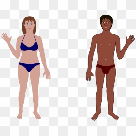 Human Body Cartoon, HD Png Download - person swimming png