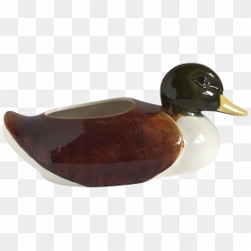 Mallard Drawing Vintage Duck Png Transparent Library - Duck, Png Download - duck.png