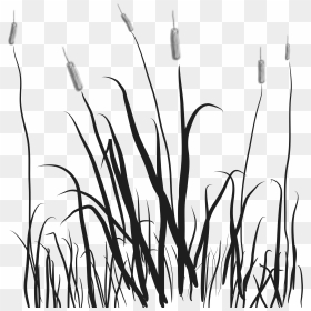 Cattails Png- - Cat Tails Png, Transparent Png - cattail png