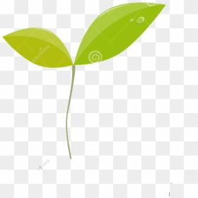 Beaver, Bog, Cattail, Dragonfly, Ecology, Eng, Fen, - Illustration, HD Png Download - cattail png