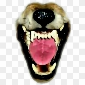 #wolf #ftestickers #mouth #teeth #fangs #snarl #werewolf - Werewolf Transparent Fangs Png, Png Download - wolf teeth png